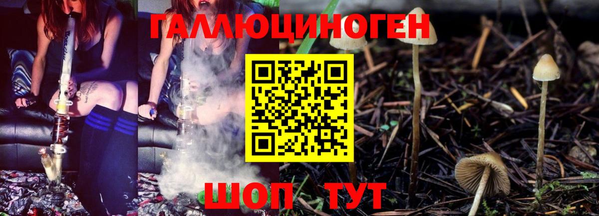 Псилоцибиновые грибы мицелий Волоколамск
