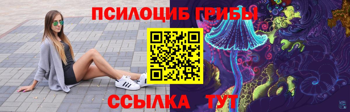 Волоколамск  Псилоцибиновые грибы прущие грибы  Вход с VPN 